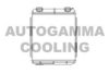 AUTOGAMMA 104239 Heat Exchanger, interior heating